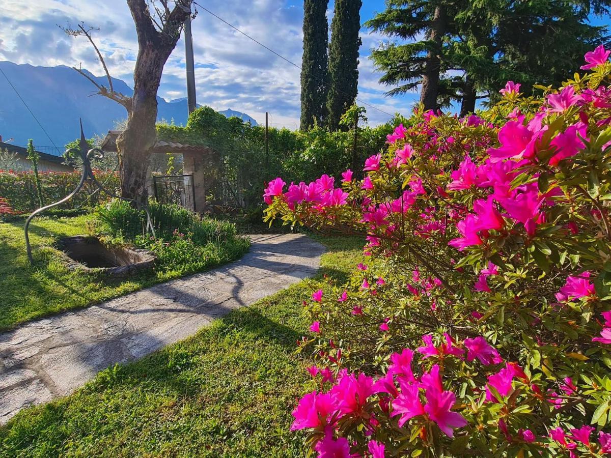 Appartamenti Casa La Rosa Bellagio Ngoại thất bức ảnh
